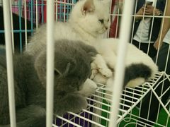 -银泰百货(北京大红门店)