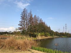 景点-上海长兴岛郊野公园