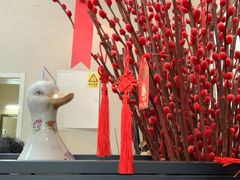 -美冠塔口腔(酒仙桥分院)