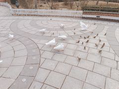 -南宫五洲植物乐园