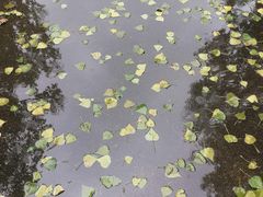 -大连理工大学(凌水校区)