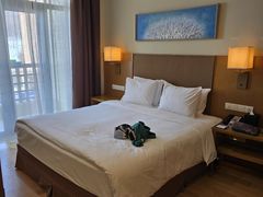 -长白山万达锦华套房酒店