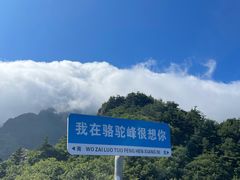 -牛背梁国家森林公园