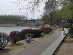 -丁香湖公园