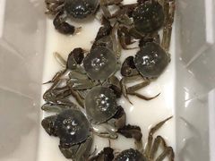 -七的湖·晚芳亭·阳澄湖农家菜·大闸蟹(莲花岛店)