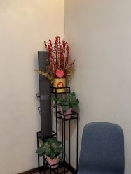 -苑苑vbeauty科技美容SPA