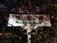 -武汉大学-樱园