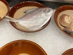 -岷山饭店-芝芝自助餐厅