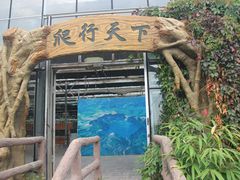 -石老人观光园