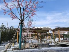 -白桦林温泉谷