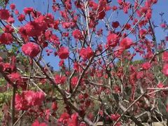 -鹫峰国家森林公园