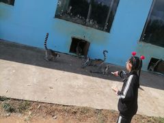 -秦皇岛野生动物园