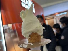 -野人先生现做冰淇淋(北京王府井东方新天地店)