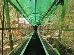 -灵栖洞天