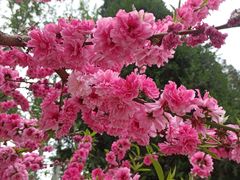 -防灾科技学院(南校区)