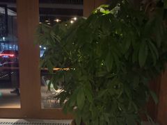 -浅深Cheersum(曹杨店)