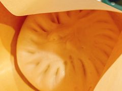 本帮豆腐皮包子-春风松月楼(七宝万科店)