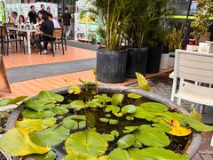 -813芭依珊 BAESAn(皇冠十畝地店)