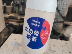 -猫的魔法密林(衣裳街店)