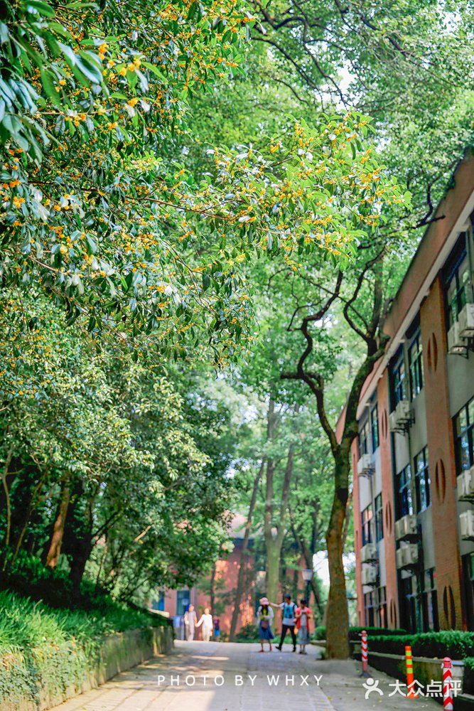 浙大之江校区| 杭州最美大学打卡