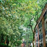 浙大之江校区| 杭州最美大学打卡