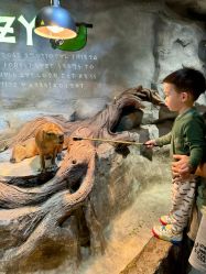 -Zoolung Zoolung动物主题公园(海信广场店)