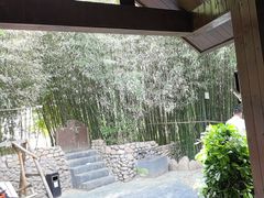 -清雅臻品·竹林院落·新派青岛菜(崂山店)