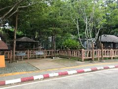 -清迈夜间动物园