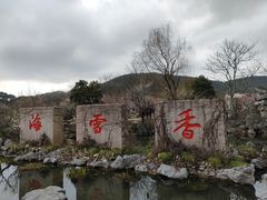 -香雪海