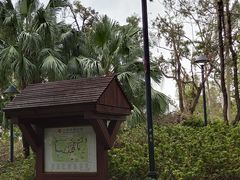 -九龙寨城公园