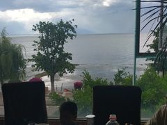 -野菌皇海景野生菌火锅(滨海大道店)