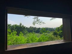 -华侨城湿地公园