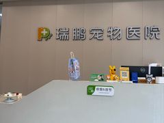 -瑞鹏宠物医院·骨科·猫科·内科(第一中心)