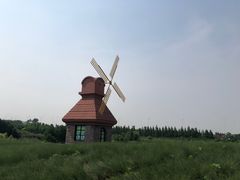 -杭州湾海上花田景区