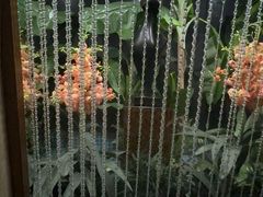 -北丽宫水疗会(宝利来国际大酒店店)