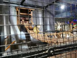 -酷嗒动物文化乐园(cutezoo西溪乐天城店)