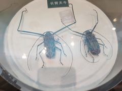 -陕西自然博物馆