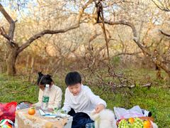 -广州市流溪河国家森林公园