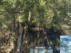 -长沙黑麋峰国家森林公园