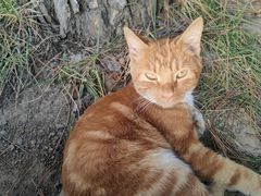 -秦始皇帝陵博物院-丽山园