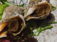 -青叶日式料理(飘亮阳光广场店)