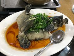 -蚝专家(北滘店)