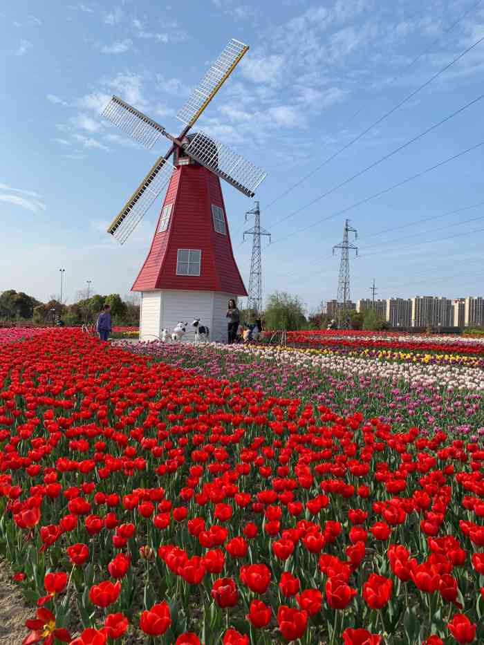 菊园百果园-"找对时间去,百果园还是一次不错的体验,春.