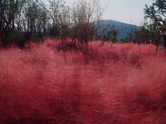 -克莉丝汀CHRISTINE(东川永平路店)