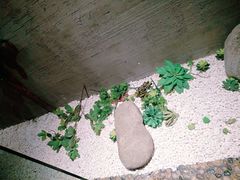 -园里火锅(仁和新城店)