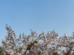 -苏州上方山国家森林公园