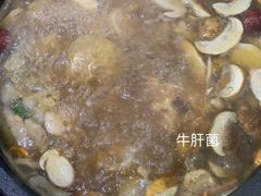 野生菌汤锅-菌之家·专业纯野生菌火锅·特色炒菌