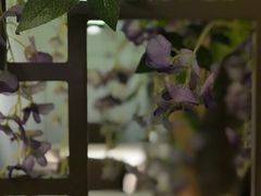 -徽珍源(龙茗路店)