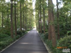 CIMG8087-上海怡沁园度假酒店