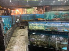 水产区-顺风山庄(水濂山店)